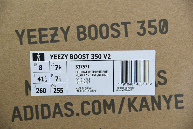 Adidas Yeezy Boost 350 V2 'Blue Tint'
